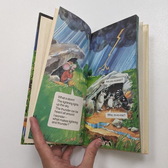 Fisher Price Why Does it Thunder...Book - Picture 4 of 6